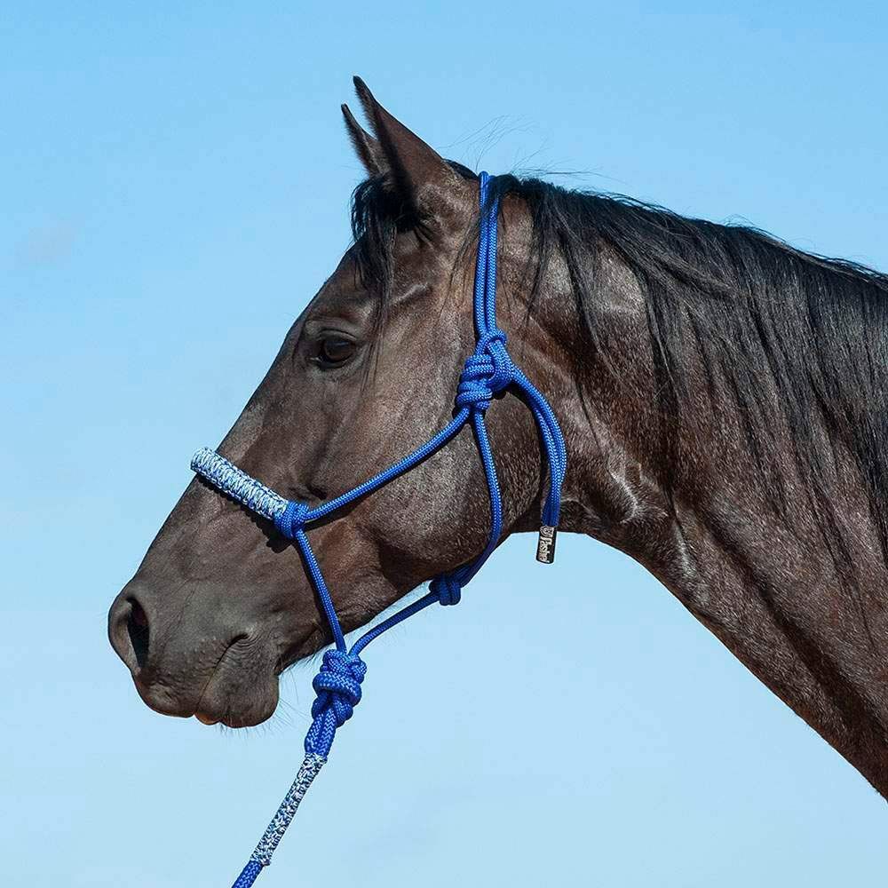 Camo Braided Rope Nose Halter w/ Lead, COLORS: Blue Camo