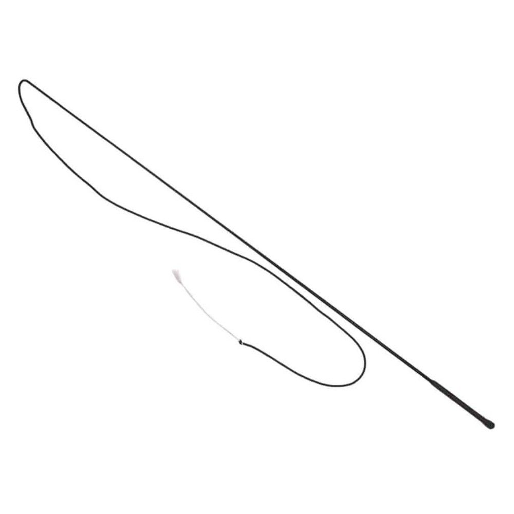 Lunge Whip