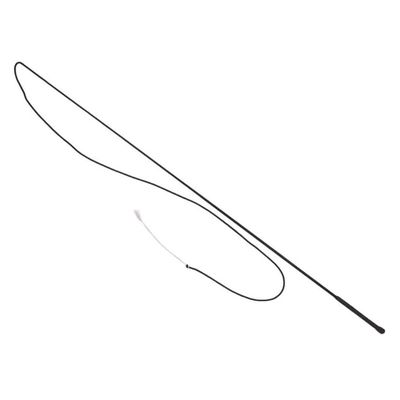 Lunge Whip