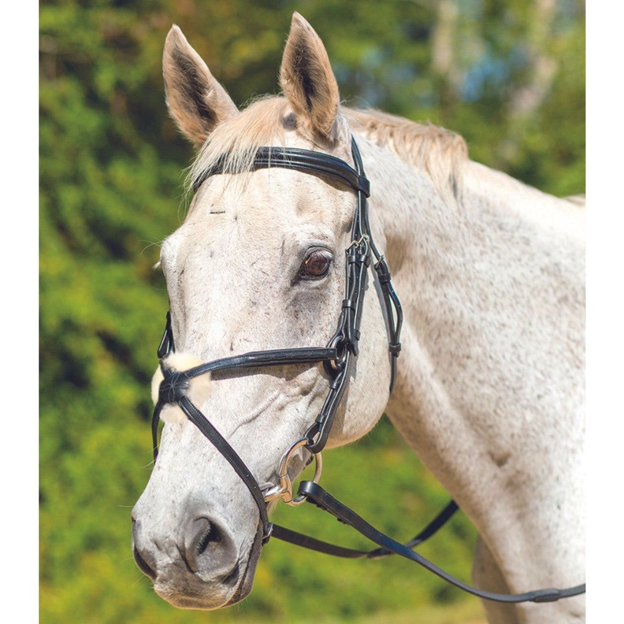 Avignon Woodside Bridle, COLORS: black, Size: X-Full
