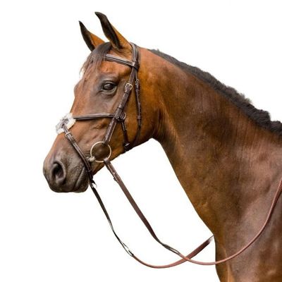 Woodside Bridle