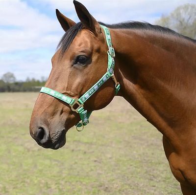 4-H Nylon Halter