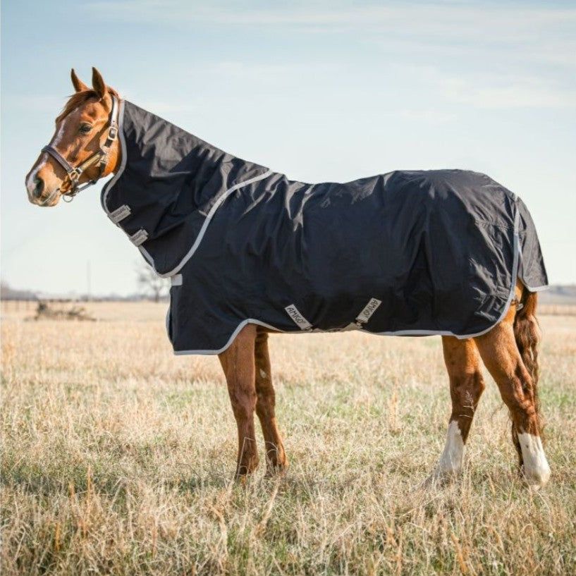 Amigo® Stock Horse Plus 0g T/O