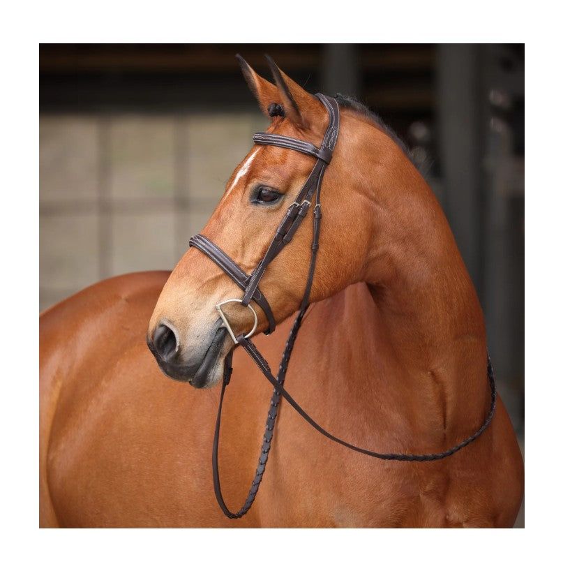 Avignon Ocala Bridle