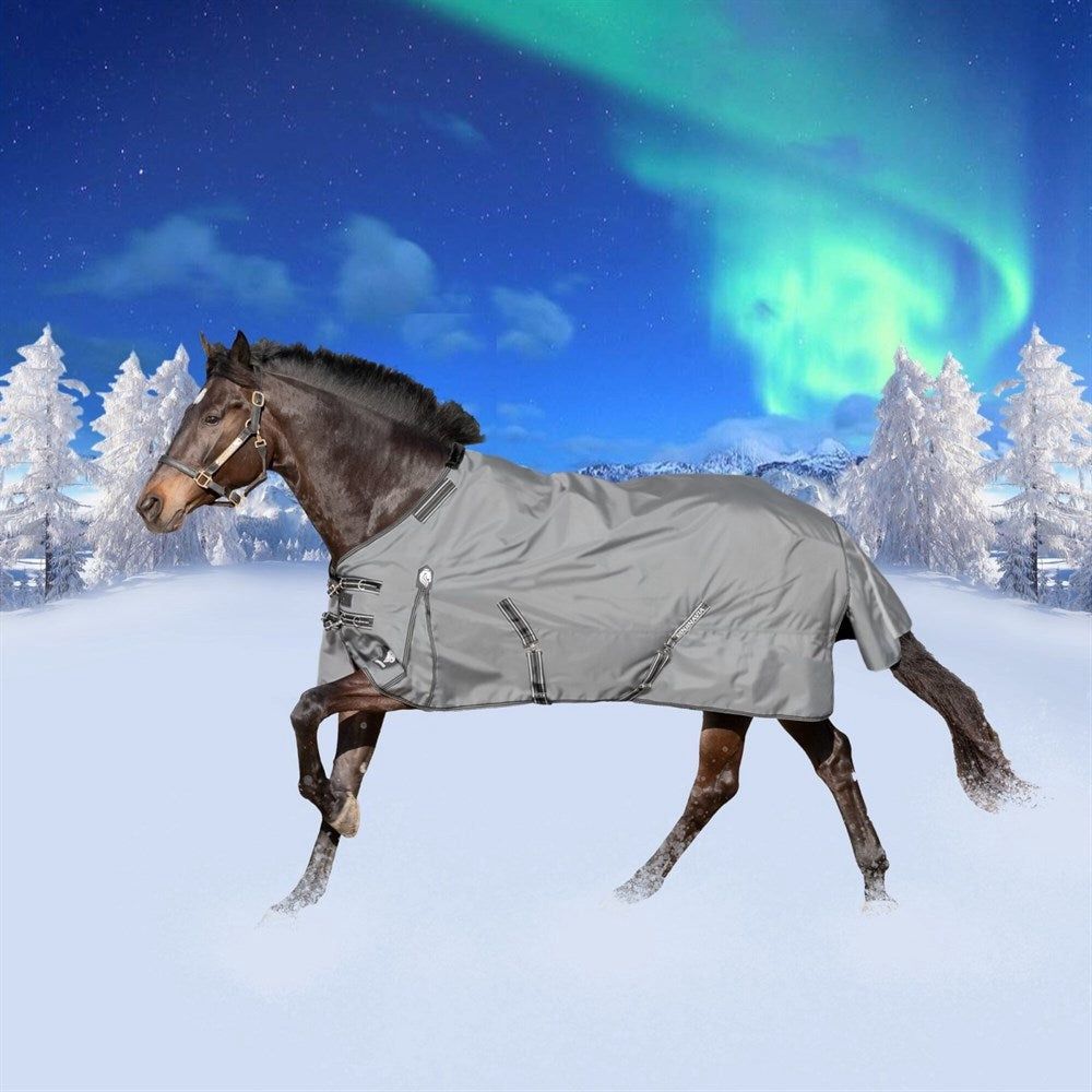 Arktis Reg Neck Turnout Sheet, Color: carbon-gray, Size: 75"