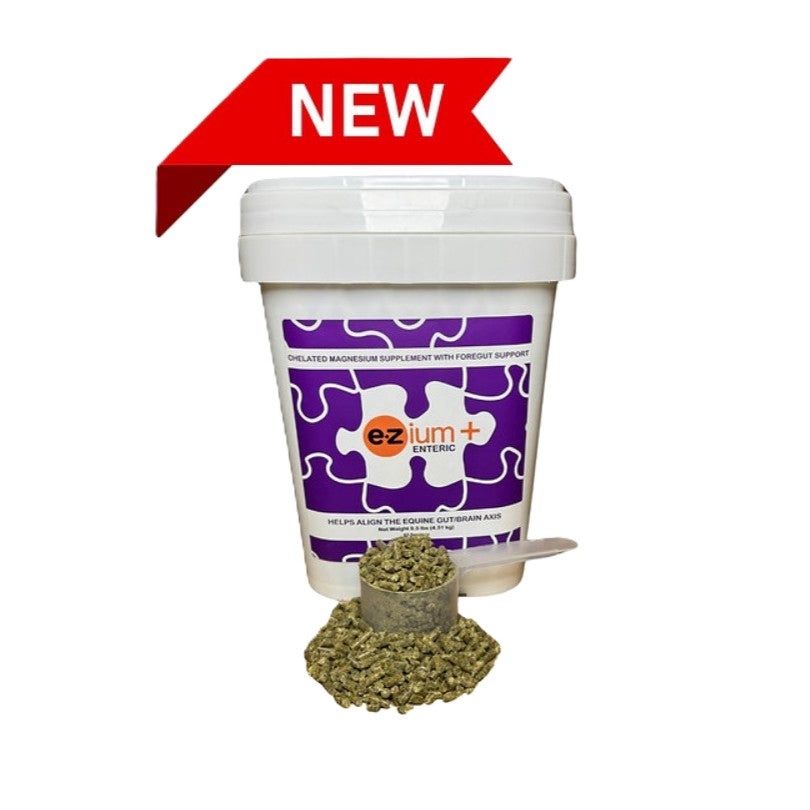 EZium+ Enteric Supplement, Size: 1-Month Pail (9.5 lbs)