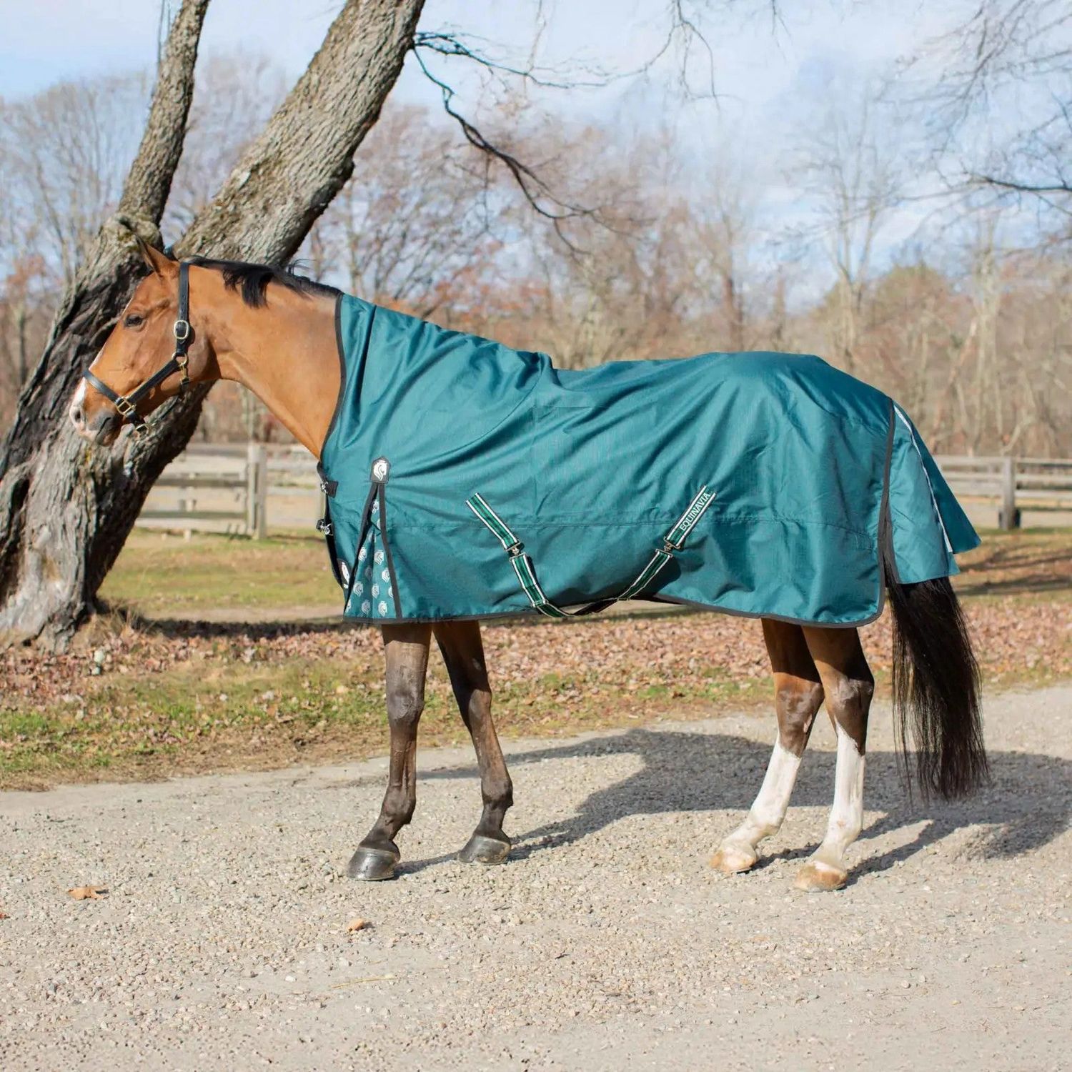 Extended Neck T/O 100g, Color: deep-green, Size: 66"