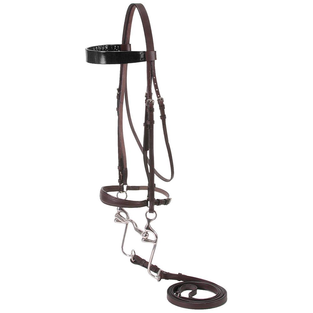 Eq Walking Horse Bridle Brown Leather, Color: Black