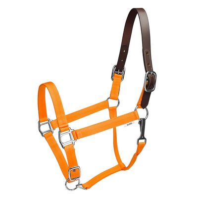 Nylon Breakaway Halter