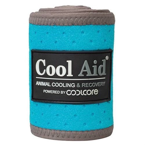 Equine Icing &amp; Cooling Polo Wraps, Color: teal, Size: M