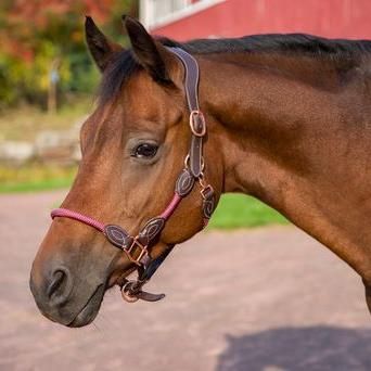 HDR Leather Rope Halter