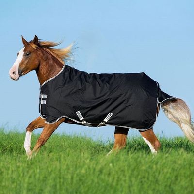 Amigo® Stock Horse T/O (200g)
