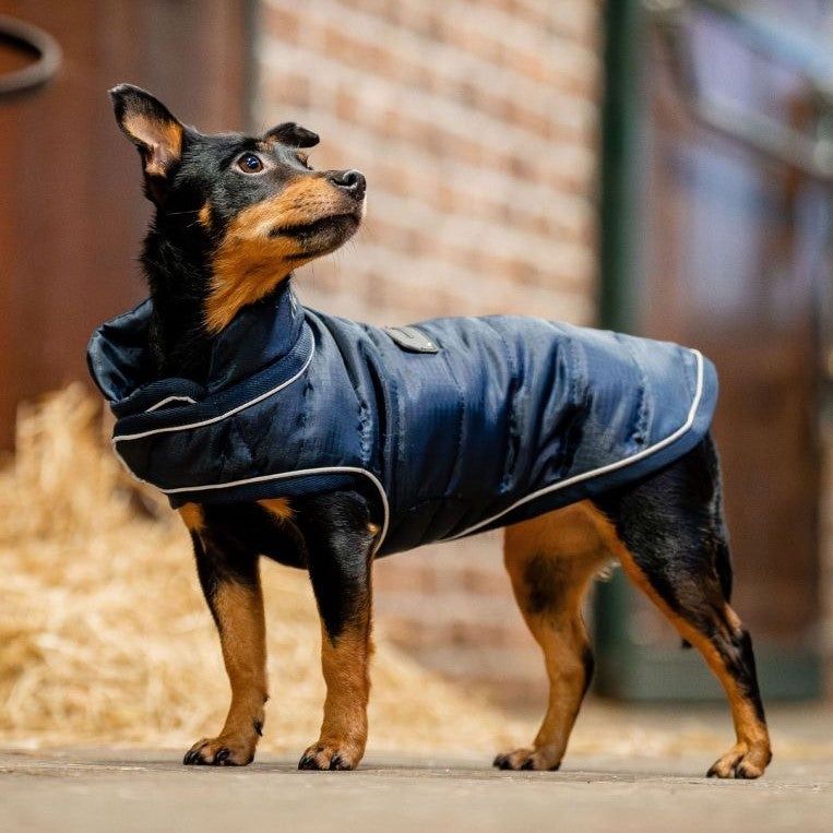 Signature Dog Blanket (200g), Color: NVY, Size: S
