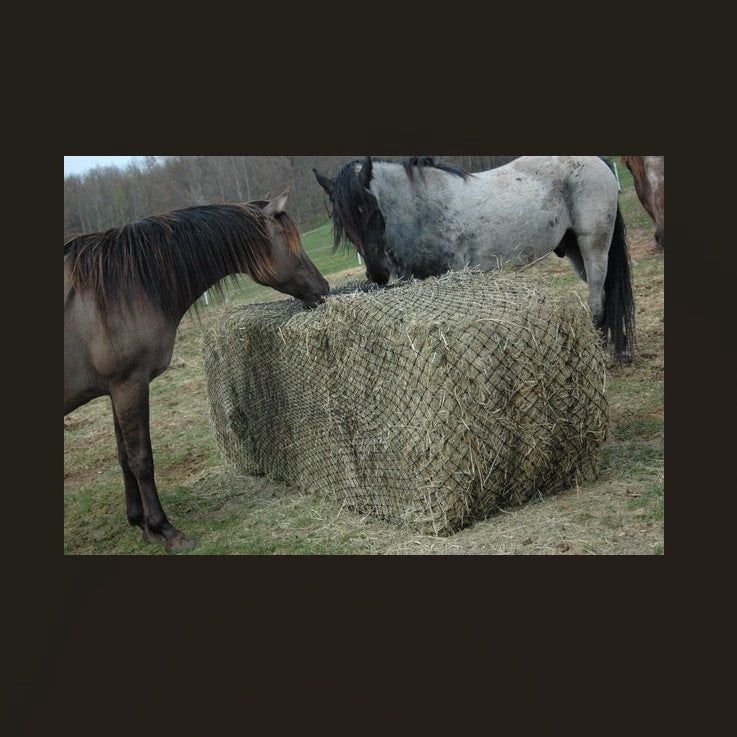 Hay Chix® Large Bale Net - 6', Mesh Opening Size: 1 3/4" Original, Rope Color: oat