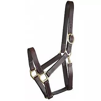 Gatsby® Track Style Turnout Halter with Snap, Color: Havana, Size: Cob