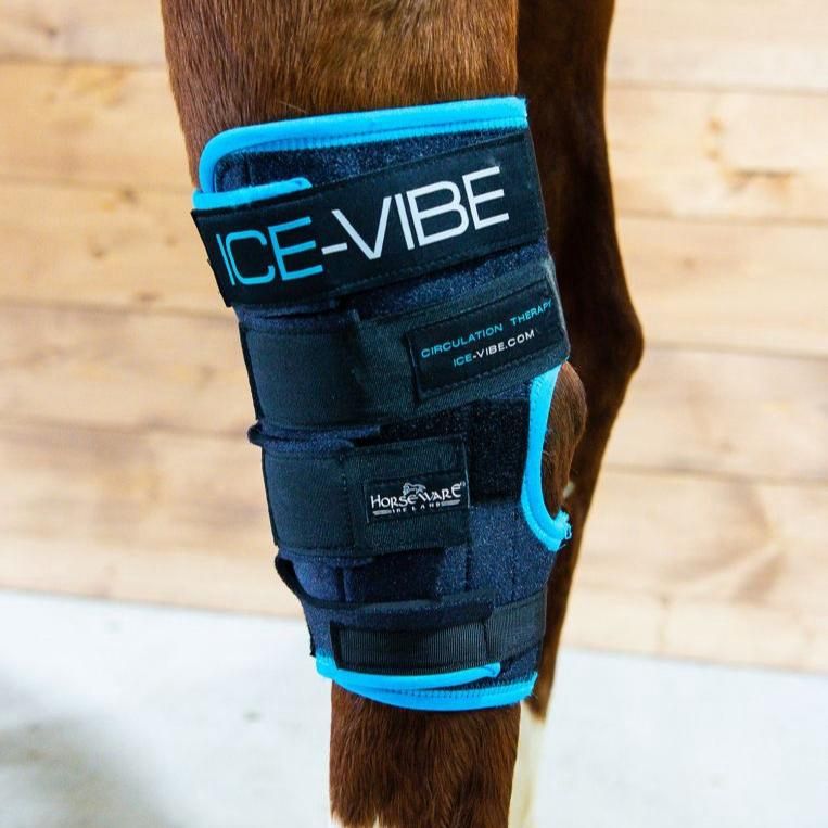 HW Ice-Vibe® Hock Wrap (1pr), Color: Black/Aqua, Size: Full