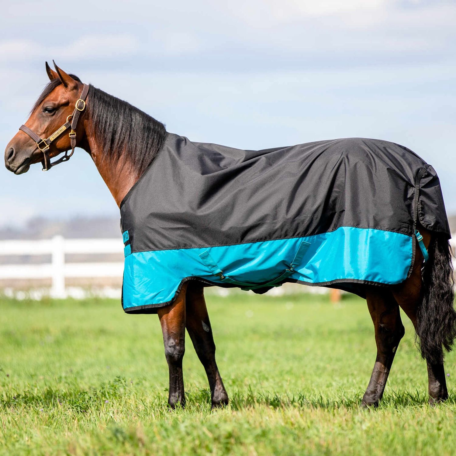 Mio T/O 200g, Color: black-turquoise-black, Size: 45