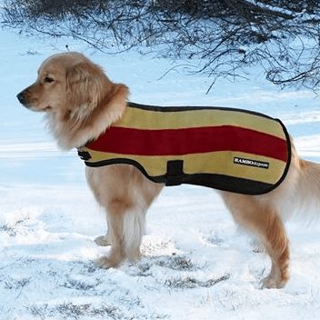 Rambo Deluxe Dog Fleece, Color: Witney Gold, Size: XXS 10"