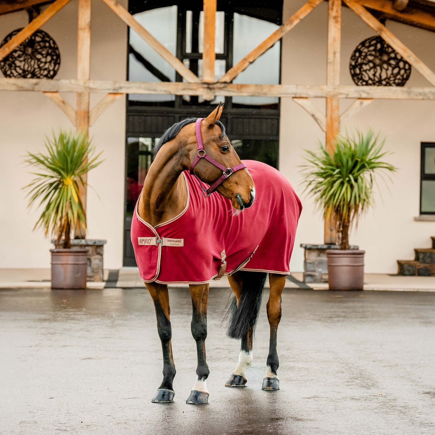 Horseware® Amigo® Fleece Cooler, Color Combo: Mulberry/Taupe, Size: 78 inch