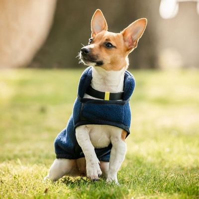 Signature Dog Fleece
