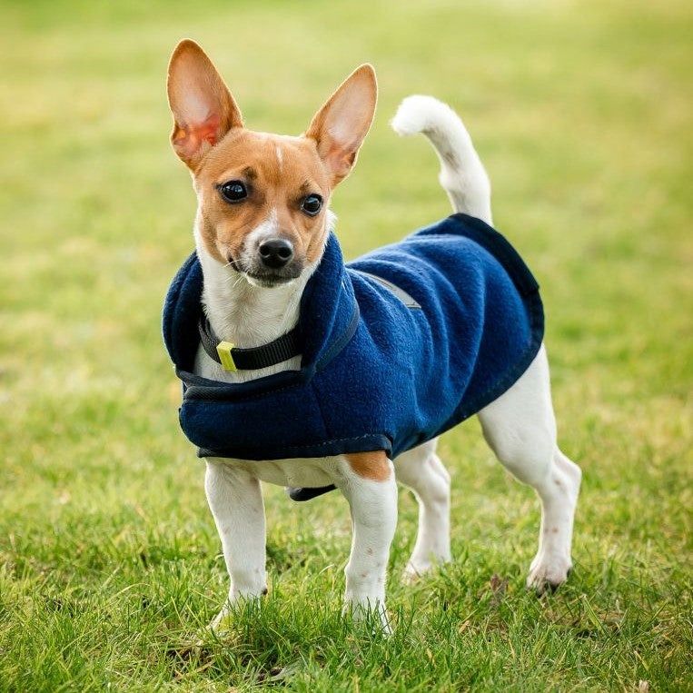 Signature Dog Fleece, Color: NVY, Size: S