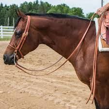 KHS-E Assorted Western Reins, Price: $10