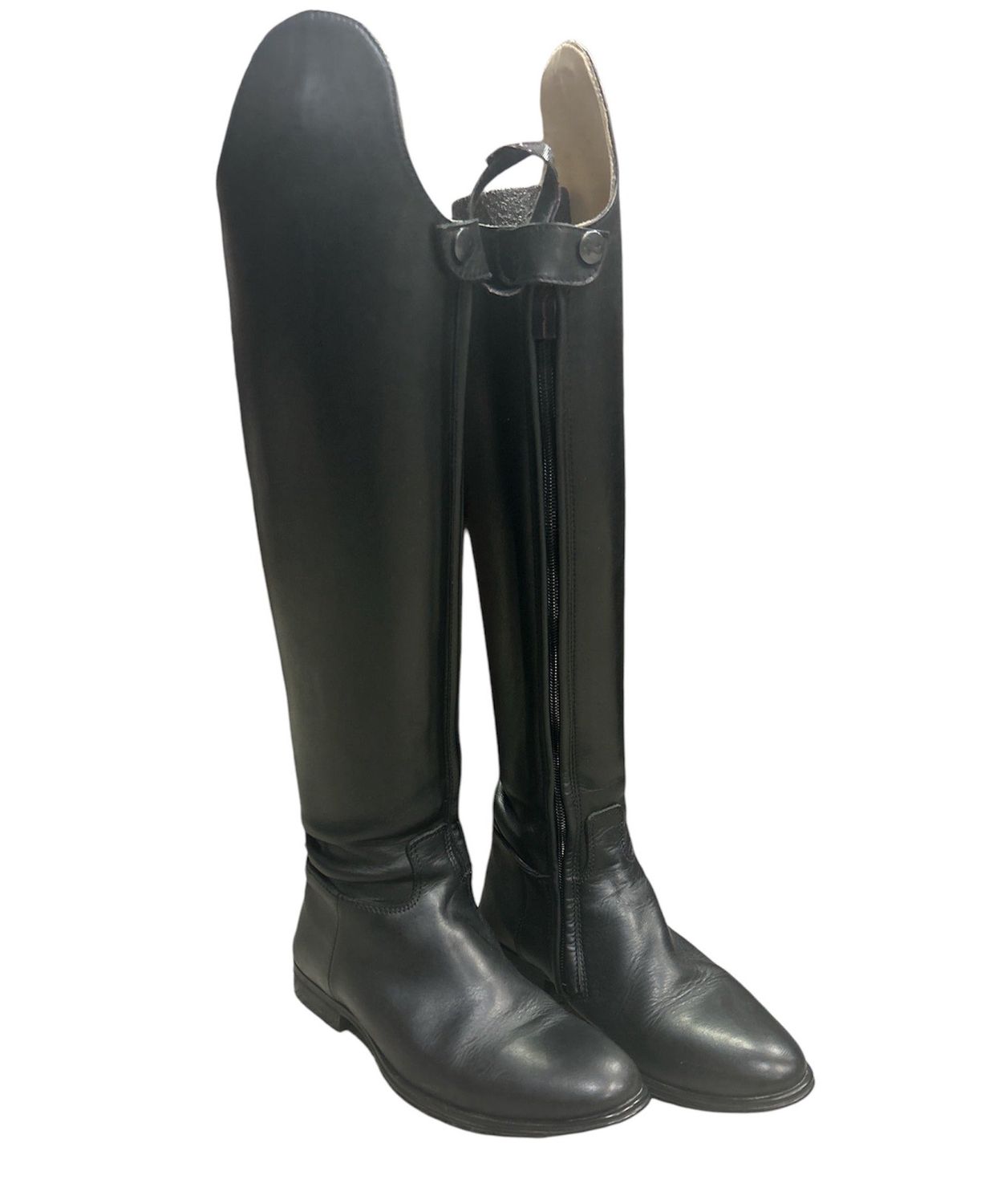 KHS-E Parlanti 36 Dressage SH Ted