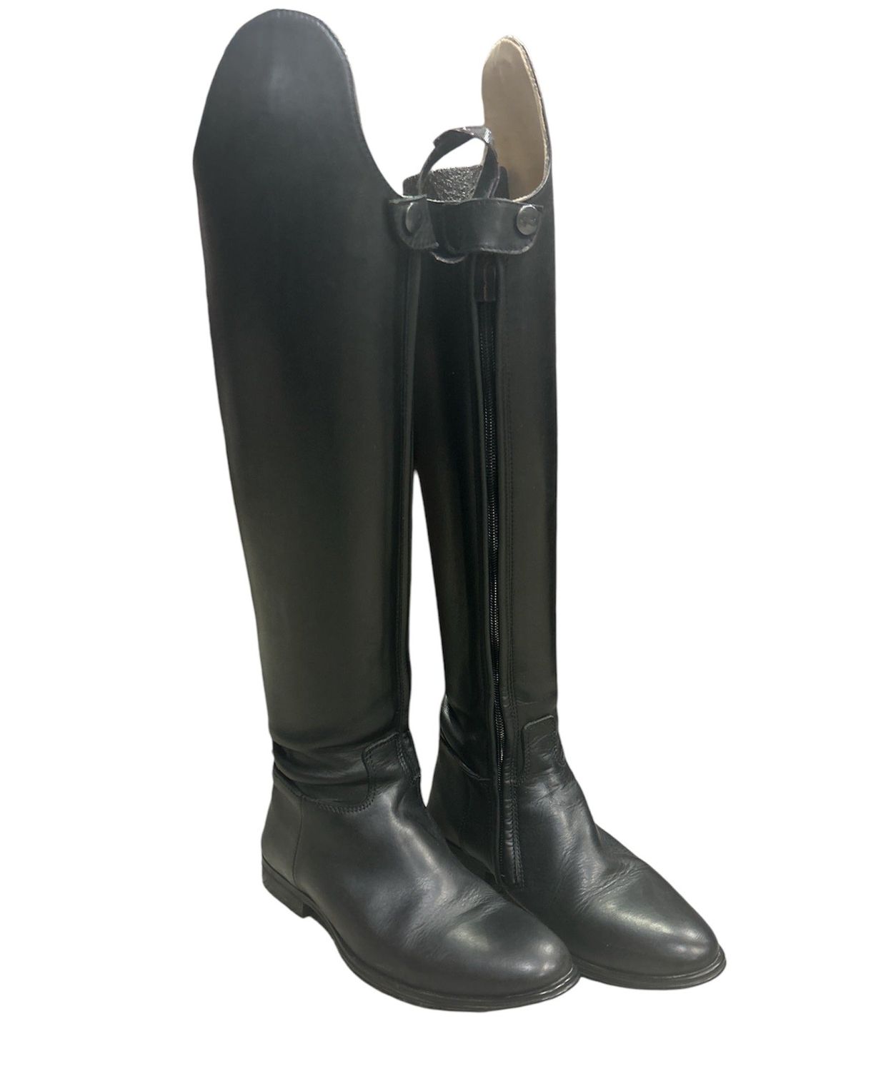 KHS-E Parlanti 36 Dressage SH Ted