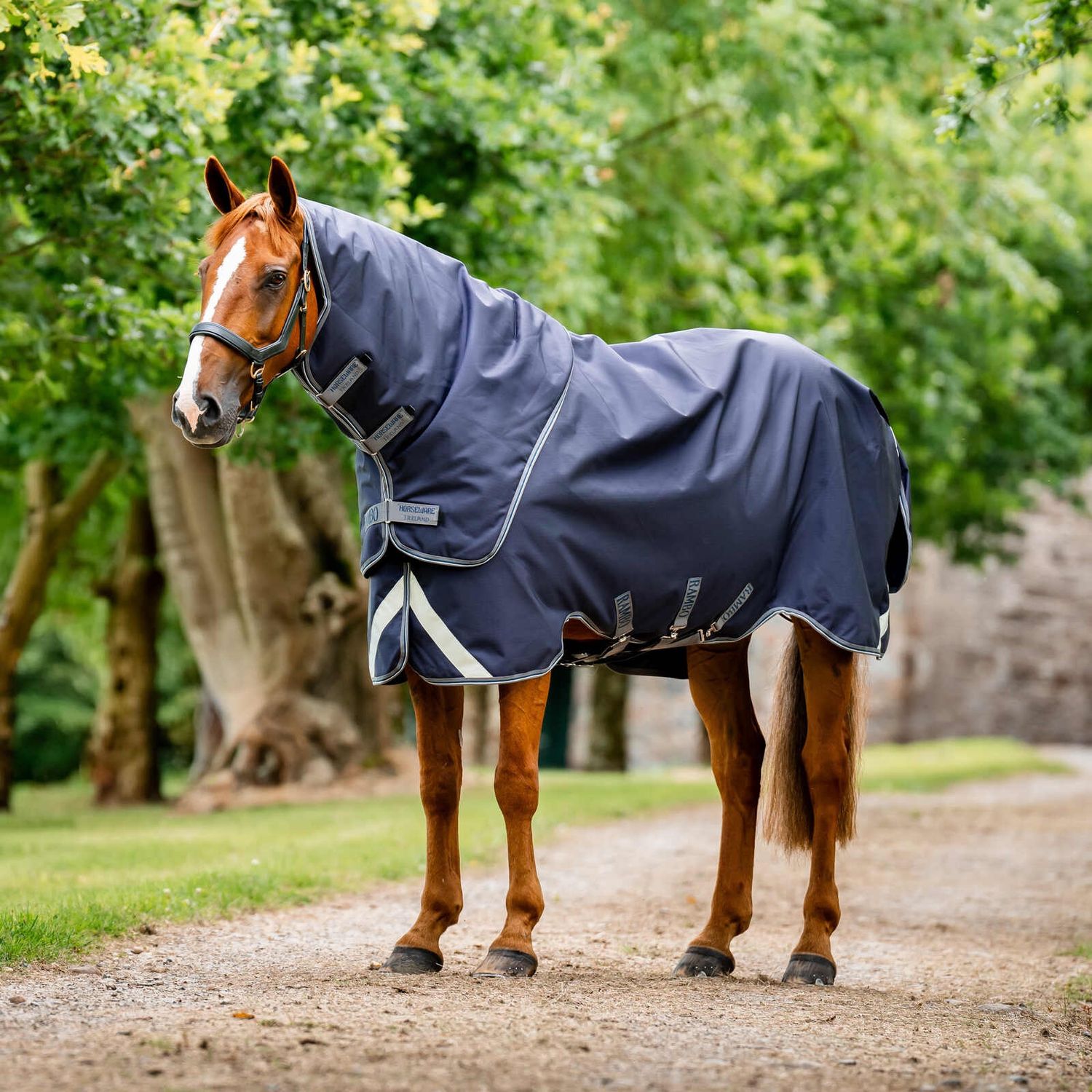 WINTER &amp; TURNOUT BLANKETS