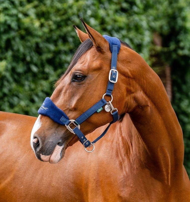 Horseware® Signature Grooming Halter, Color: Navy, Size: Cob
