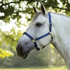 KHS-E Assorted Halters