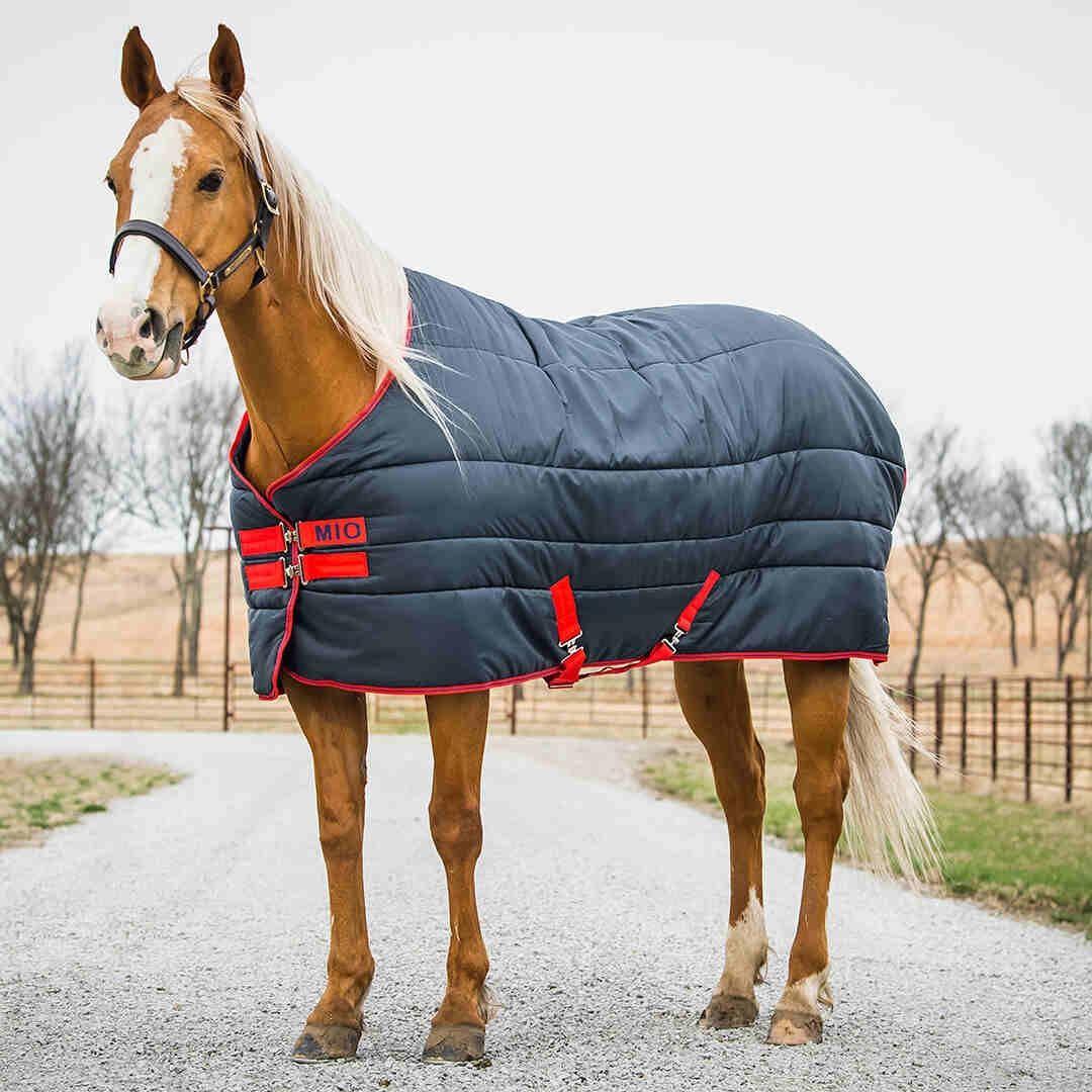 Mio Insulator Med 150g, Color: navy-red-red, Size: 54