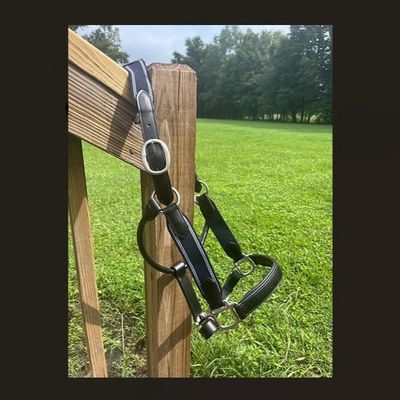 Leather and Side Rein Elastic Halter