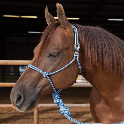 PC Easy-On Rope Halter with Lead