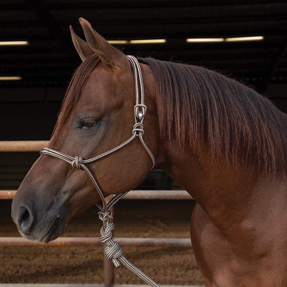 PC Easy-On Rope Halter with Lead, COLORS: Chocolate