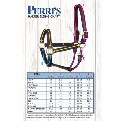 Perri’s® 7 / 8" Value Work Halter