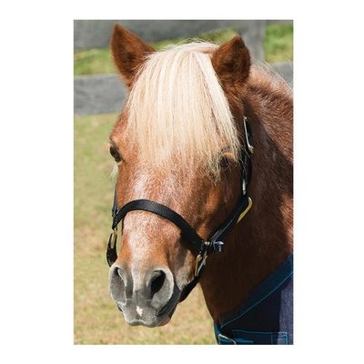 Mini Topaz Halter