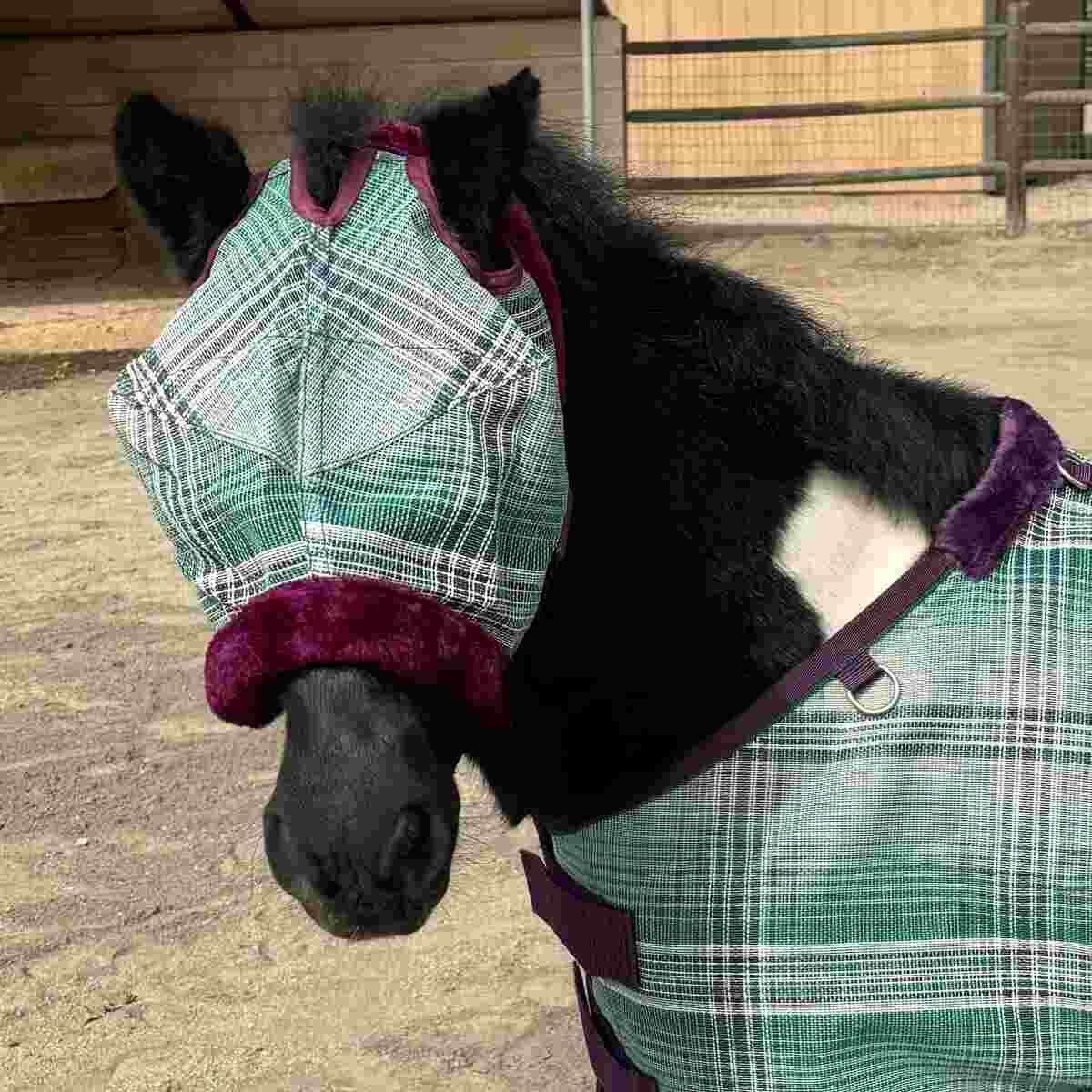 Mini Fly Mask with Fleece Trim, Color: imperial-jade, Size: Mini- B