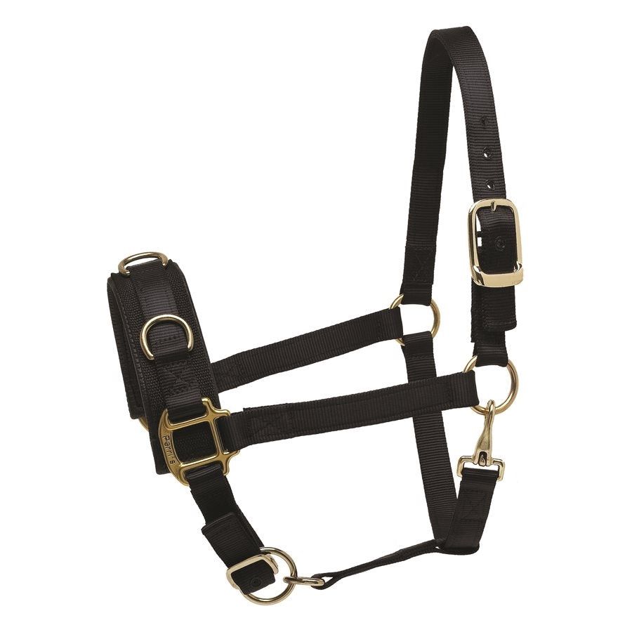 Perri’s® Nylon Lunge Caveson, Color: Black, Size: Cob