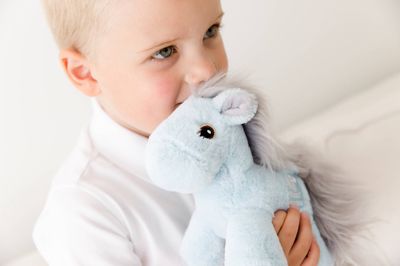 Piccoli Horses - Mini Horses &amp; Mini Unicorns