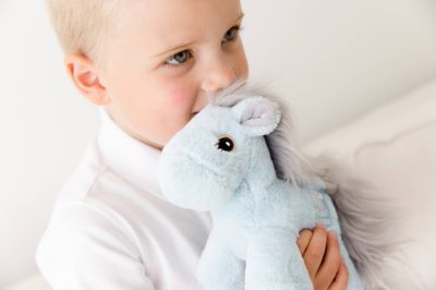 Piccoli Horses - Mini Horses &amp; Mini Unicorns