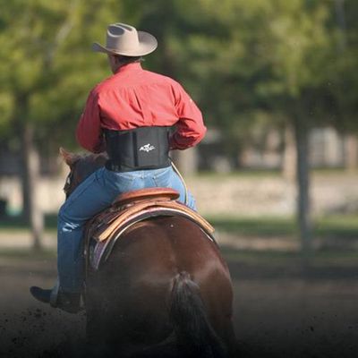 Professional's Choice Comfort-Fit Low Back Support