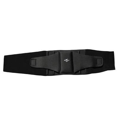 Professional's Choice Comfort-Fit Low Back Support