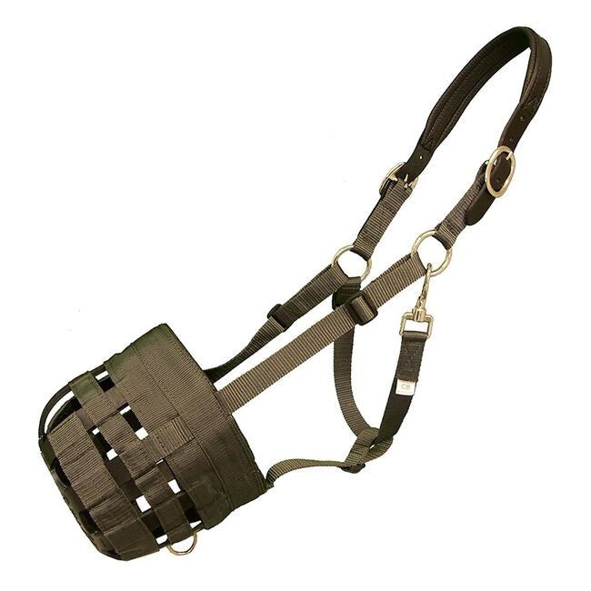 QHP BF Padded Leather Crown Grazing Muzzle, Size: Draft