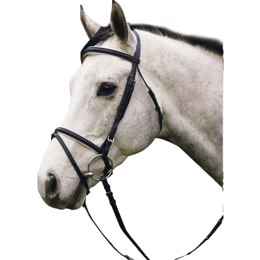 Padded Dressage Bridle With Flash And Web Reins, COLORS: Black/White, Size: Oversize