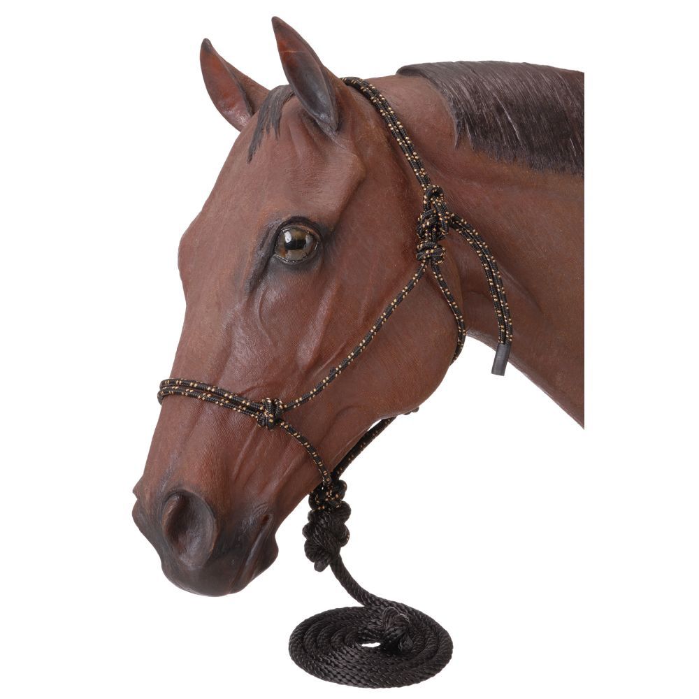 Poly Rope Halter with Lead, Color: BLK, Size: HRS