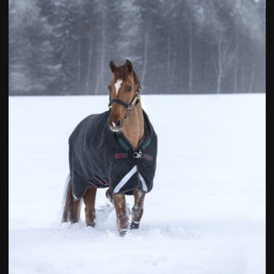 Rambo® Original T/O Med w/ Leg Arches 200g