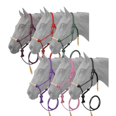 Rawhide Noseband Rope Halter w/ Lead