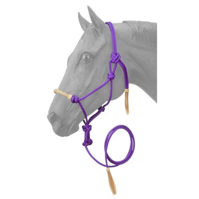 Rawhide Noseband Rope Halter w/ Lead