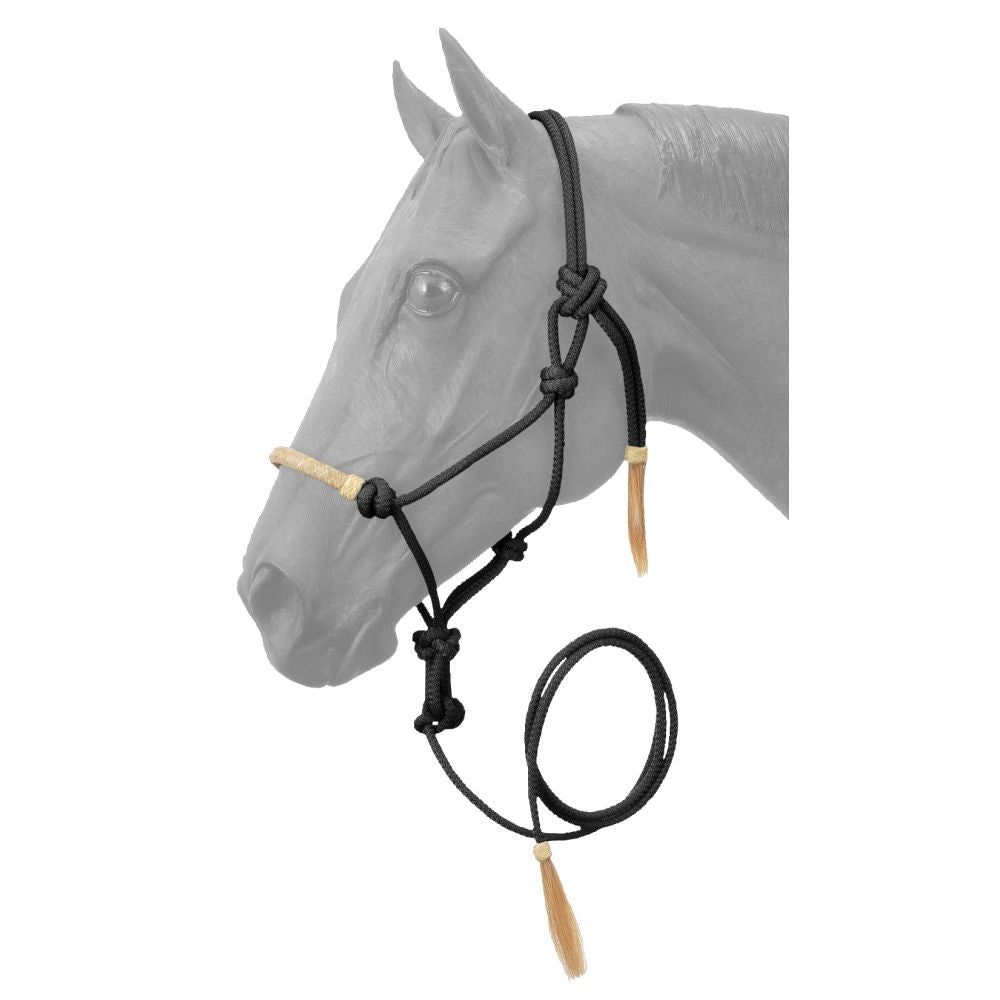 Rawhide Noseband Rope Halter w/ Lead, Color: BLK, Size: HRS